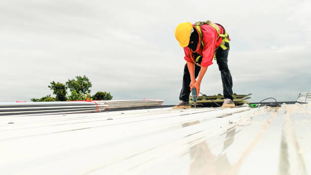 Best Roof Moss and Algae Removal  in Claryville, KY